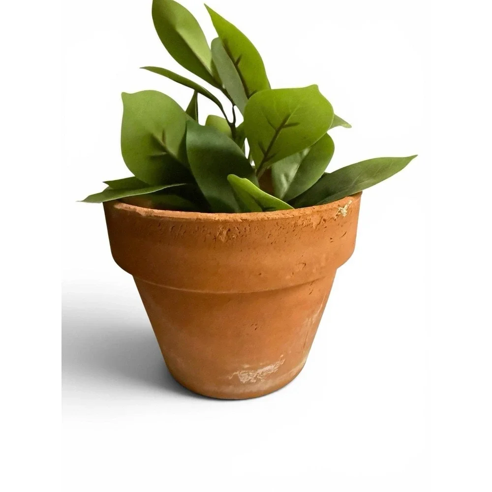 Vintage Terracotta Planter Aged Patina Clay Pot + Dish French Garden 5.5